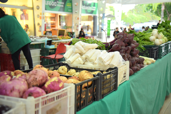 Feira da Agricultura Familiar